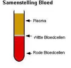 Samenstelling bloed